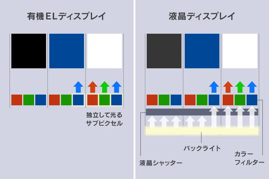 記事内画像