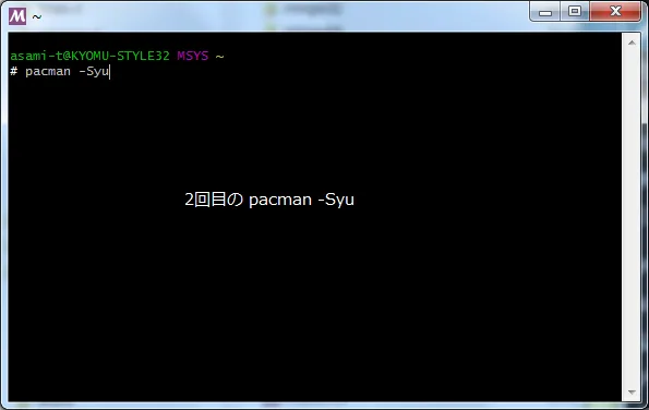 記事内画像